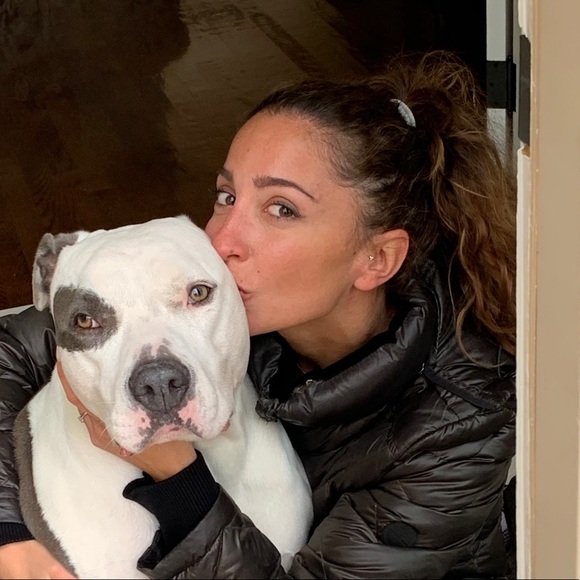 Meet your Posher, Sophie - Picture 1 of 1